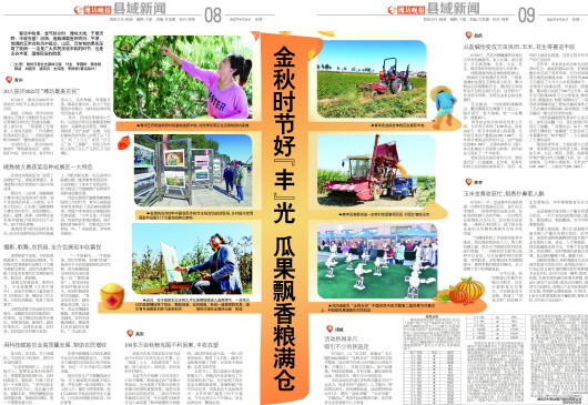 ****处理标记：[page]时， 字段 [] 在数据源中没有找到! ****