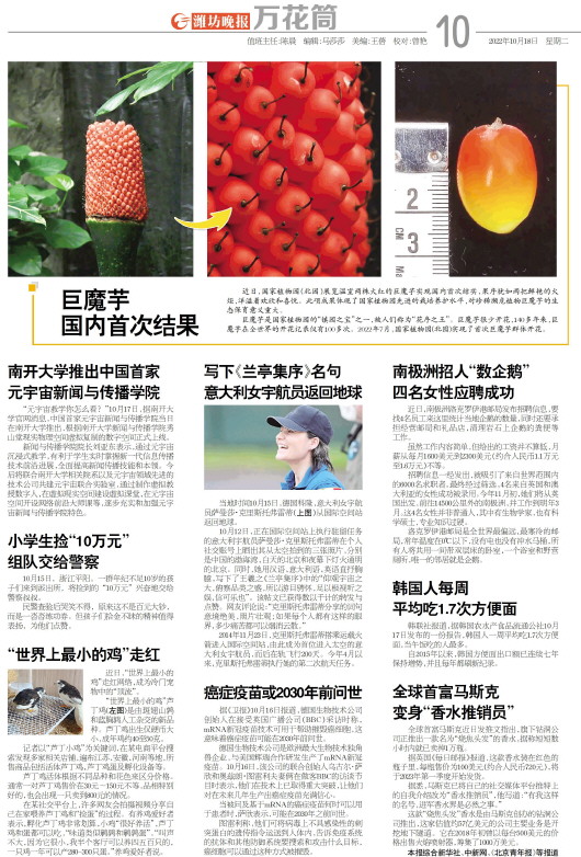 ****处理标记：[page]时， 字段 [] 在数据源中没有找到! ****