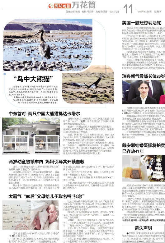 ****处理标记：[page]时， 字段 [] 在数据源中没有找到! ****