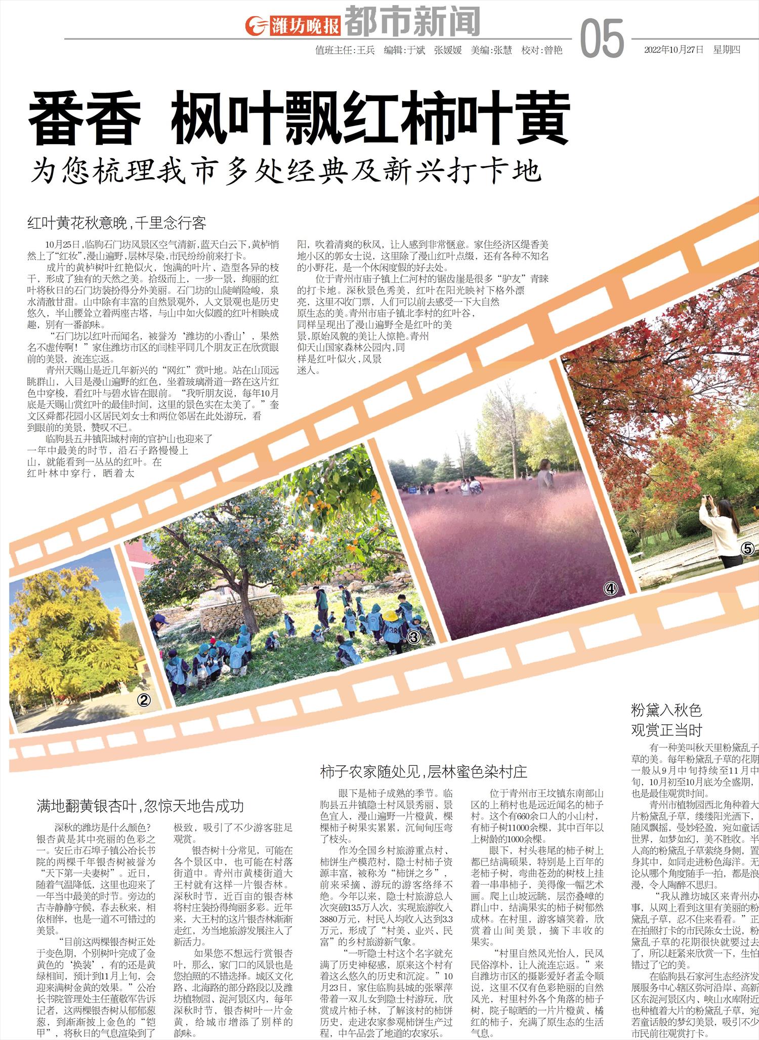 ****处理标记：[page]时， 字段 [] 在数据源中没有找到! ****