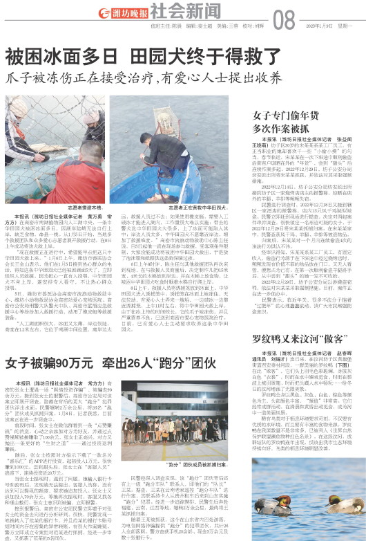 ****处理标记：[page]时， 字段 [] 在数据源中没有找到! ****