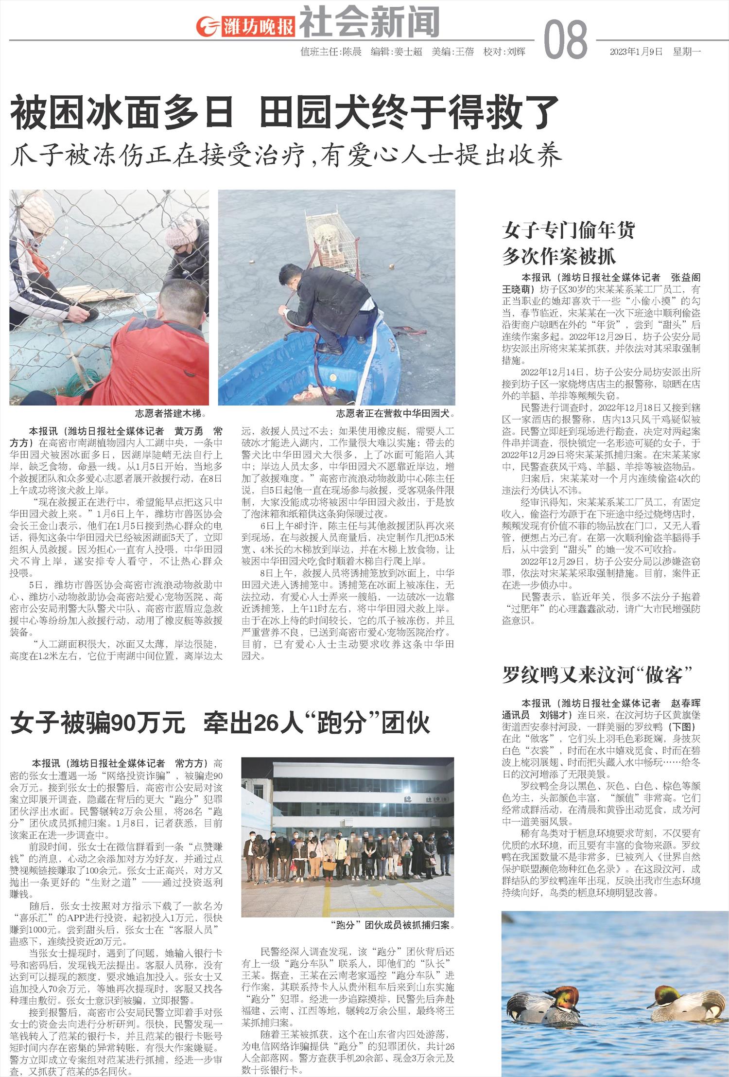****处理标记：[page]时， 字段 [] 在数据源中没有找到! ****