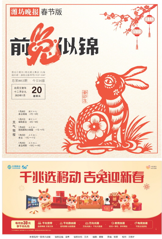 ****处理标记：[page]时， 字段 [] 在数据源中没有找到! ****
