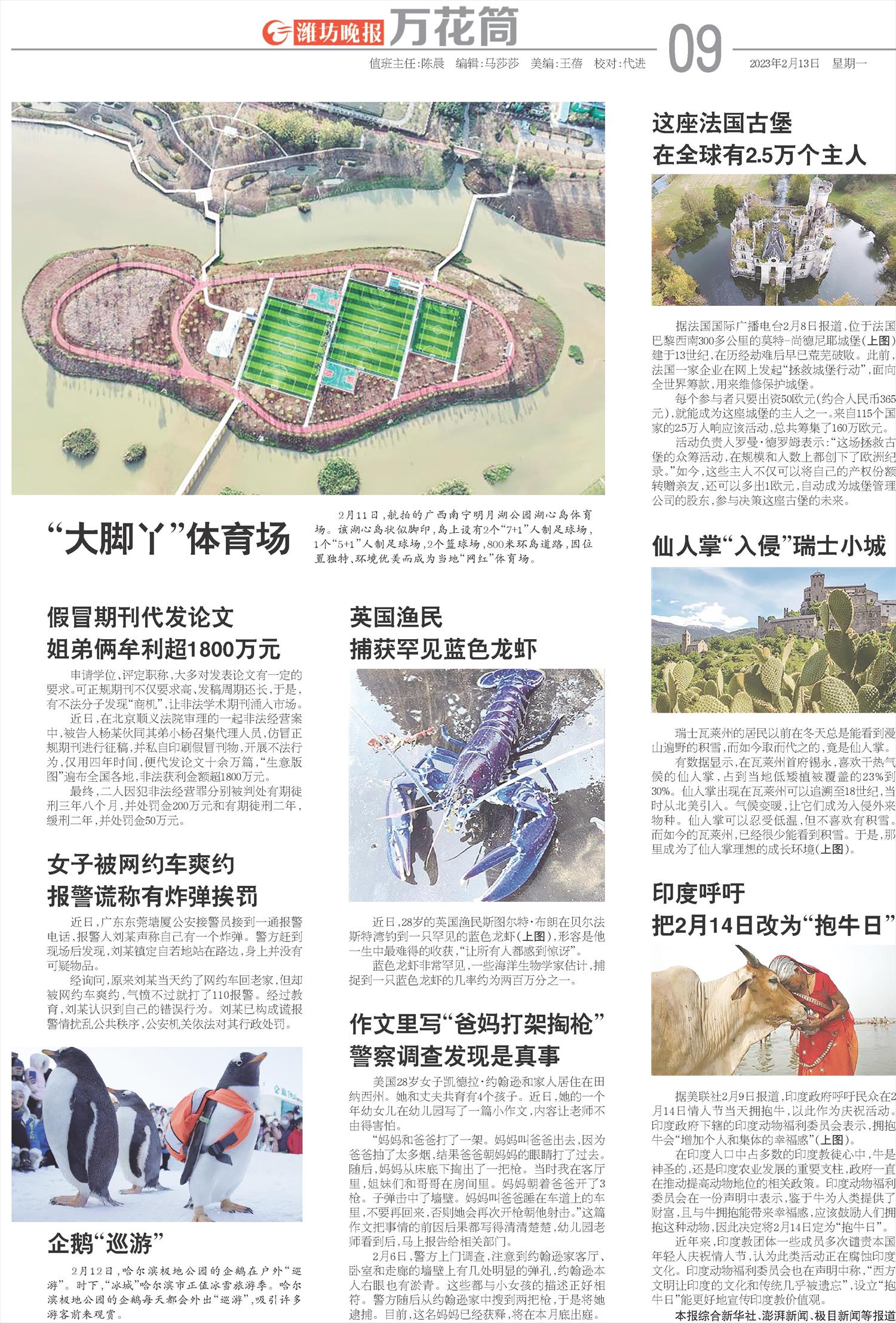 ****处理标记：[page]时， 字段 [] 在数据源中没有找到! ****