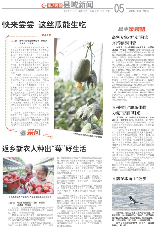 ****处理标记：[page]时， 字段 [] 在数据源中没有找到! ****
