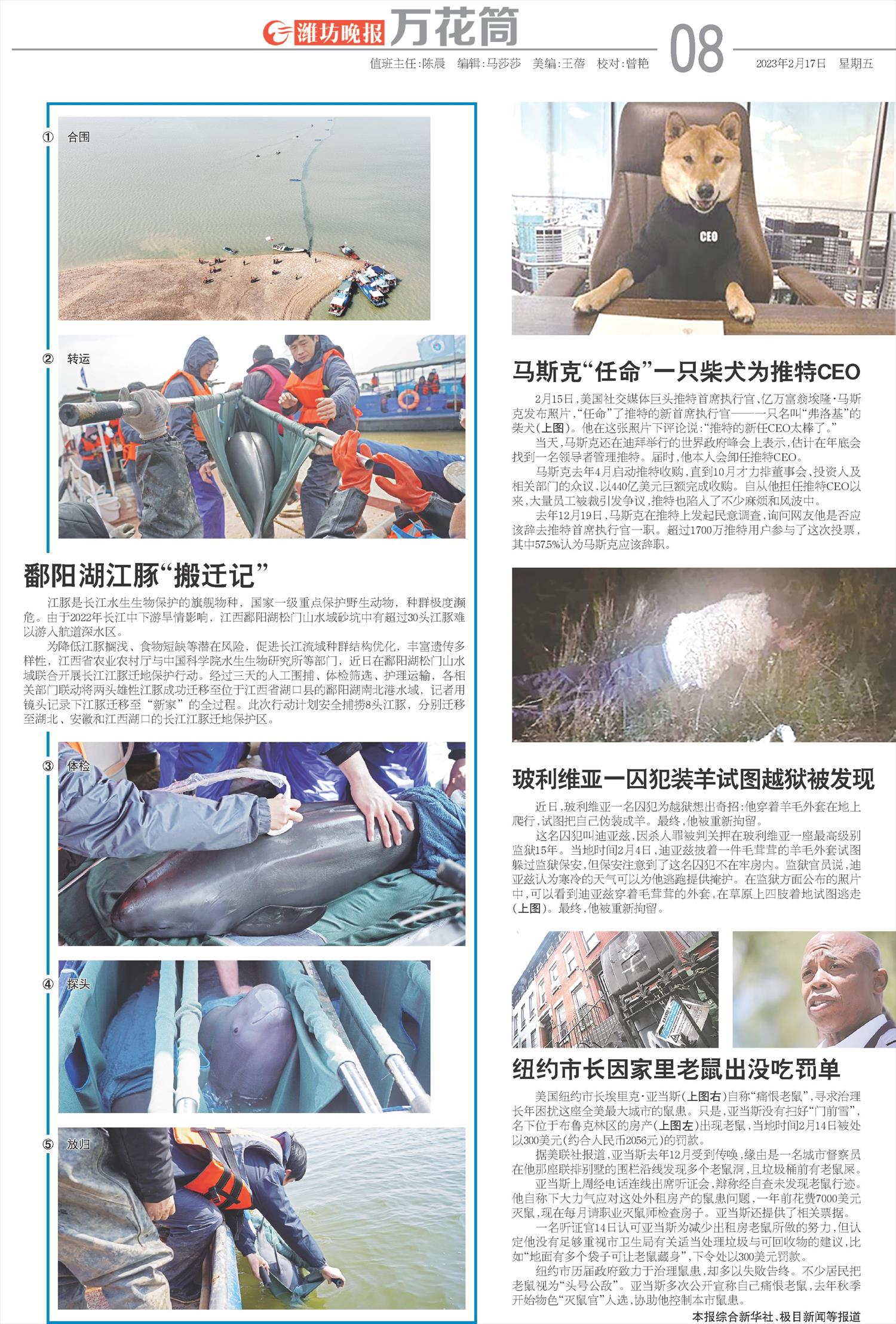 ****处理标记：[page]时， 字段 [] 在数据源中没有找到! ****