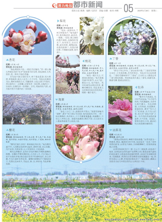 ****处理标记：[page]时， 字段 [] 在数据源中没有找到! ****