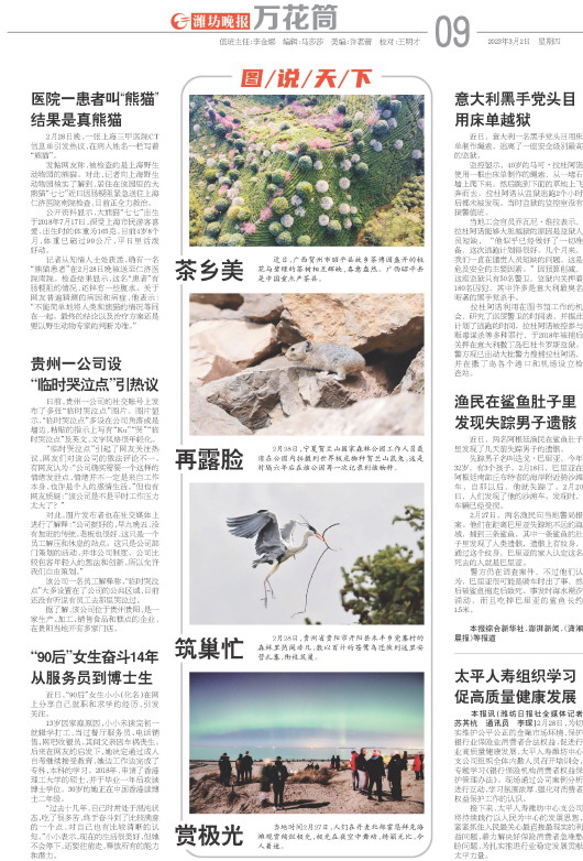 ****处理标记：[page]时， 字段 [] 在数据源中没有找到! ****