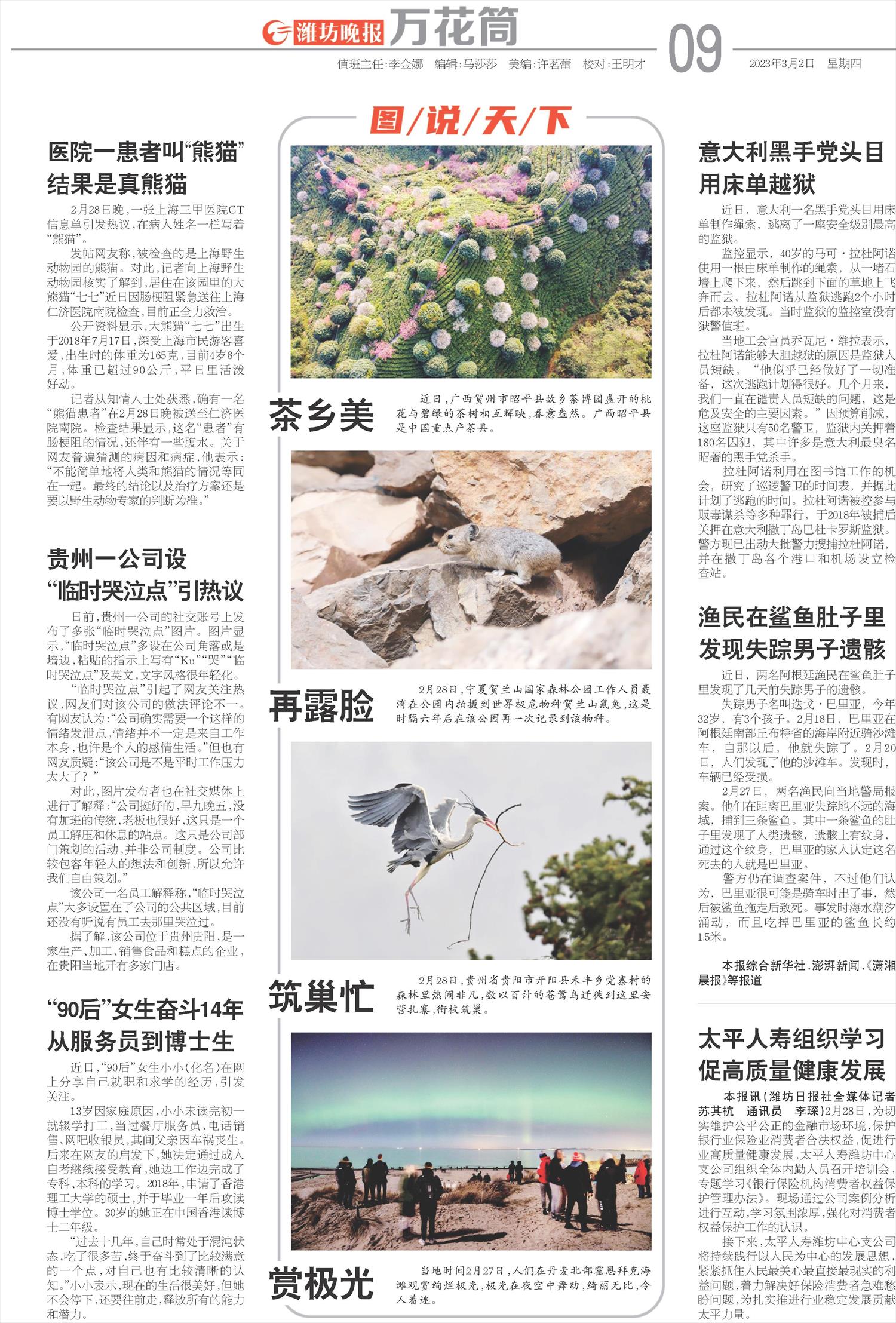 ****处理标记：[page]时， 字段 [] 在数据源中没有找到! ****