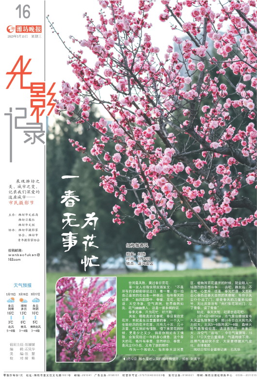 ****处理标记：[page]时， 字段 [] 在数据源中没有找到! ****