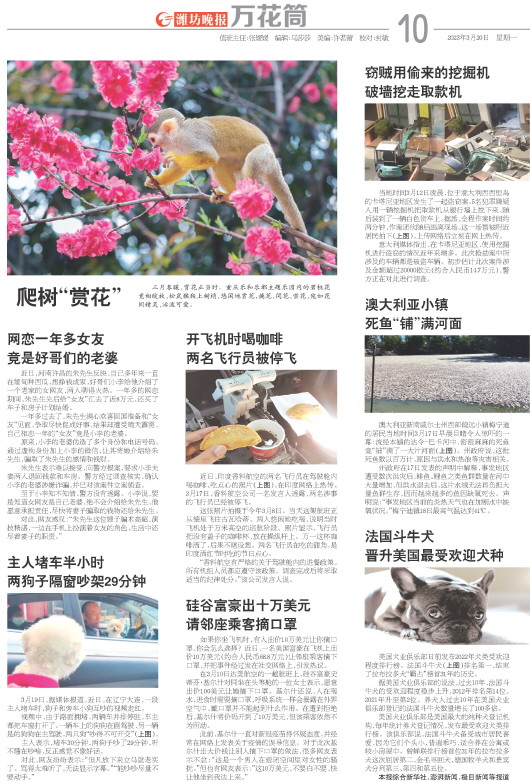 ****处理标记：[page]时， 字段 [] 在数据源中没有找到! ****