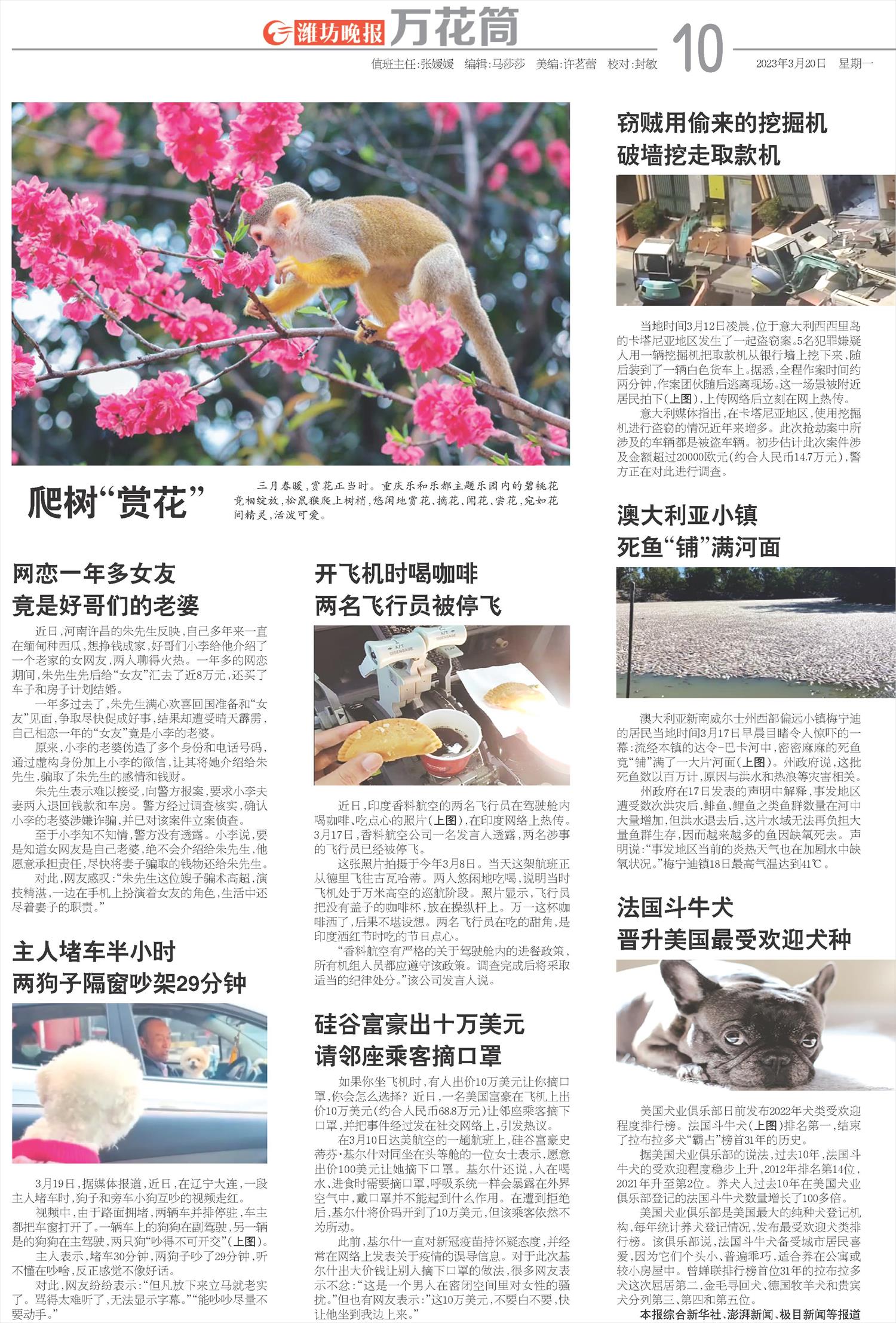 ****处理标记：[page]时， 字段 [] 在数据源中没有找到! ****