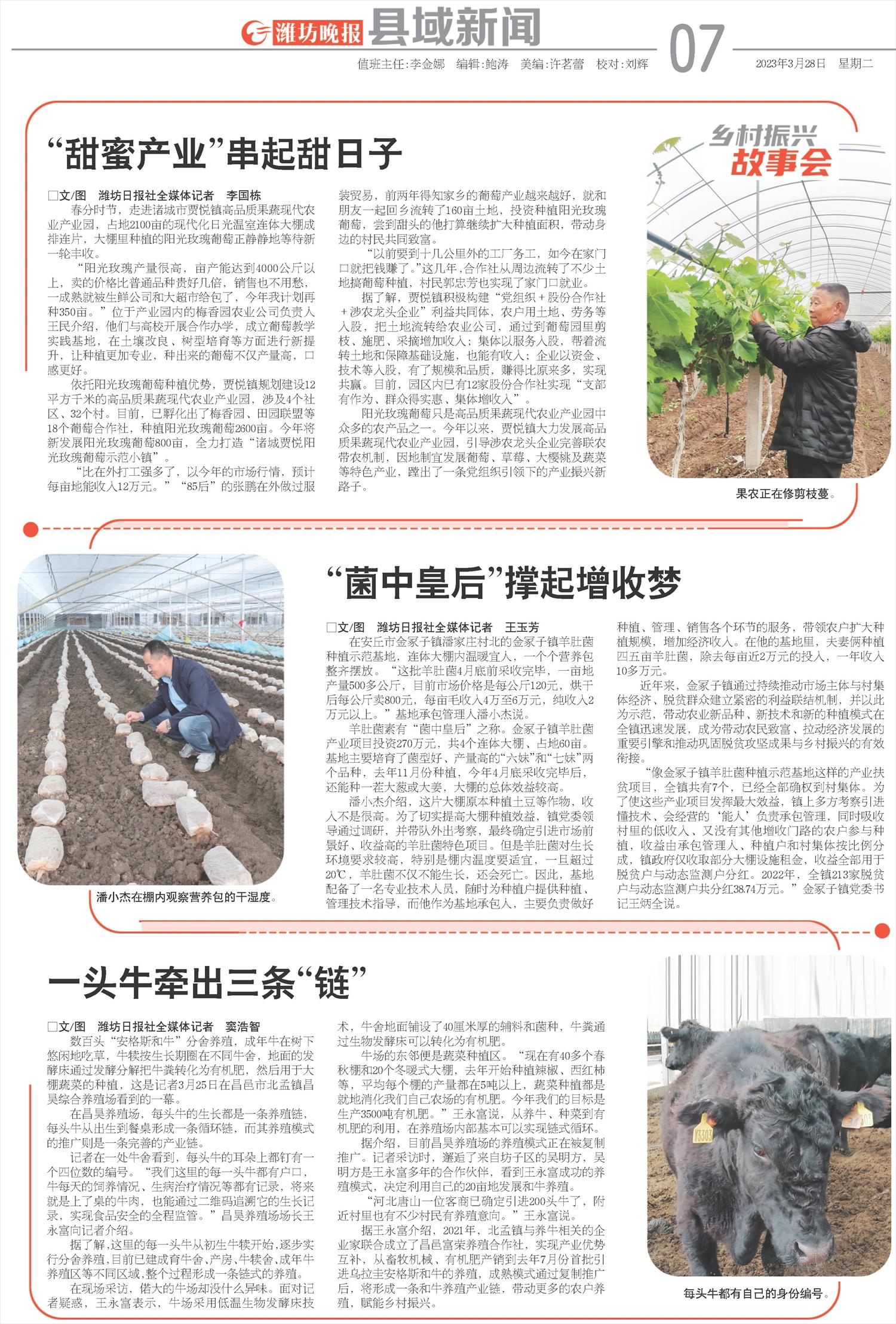 ****处理标记：[page]时， 字段 [] 在数据源中没有找到! ****