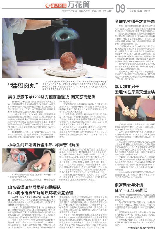 ****处理标记：[page]时， 字段 [] 在数据源中没有找到! ****