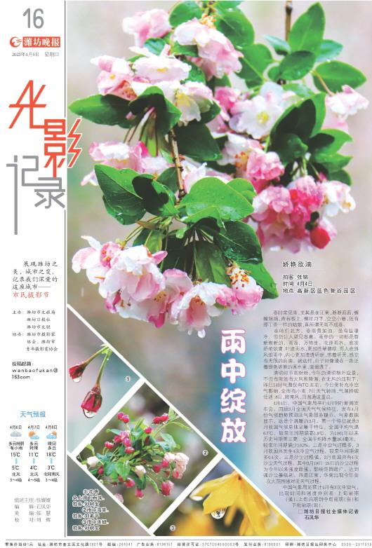 ****处理标记：[page]时， 字段 [] 在数据源中没有找到! ****