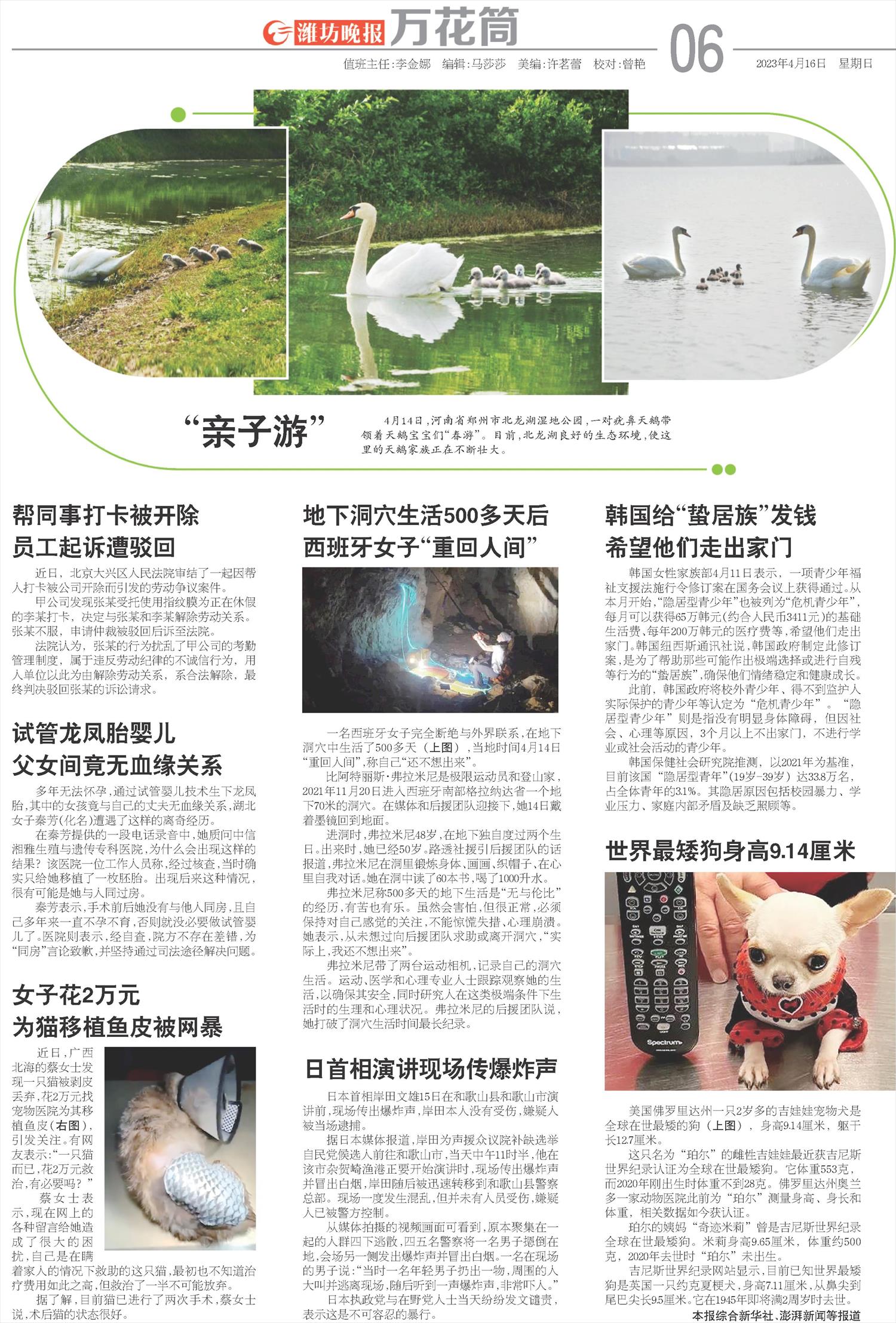 ****处理标记：[page]时， 字段 [] 在数据源中没有找到! ****