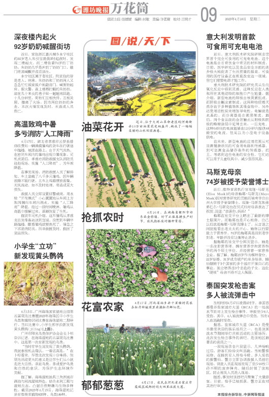 ****处理标记：[page]时， 字段 [] 在数据源中没有找到! ****