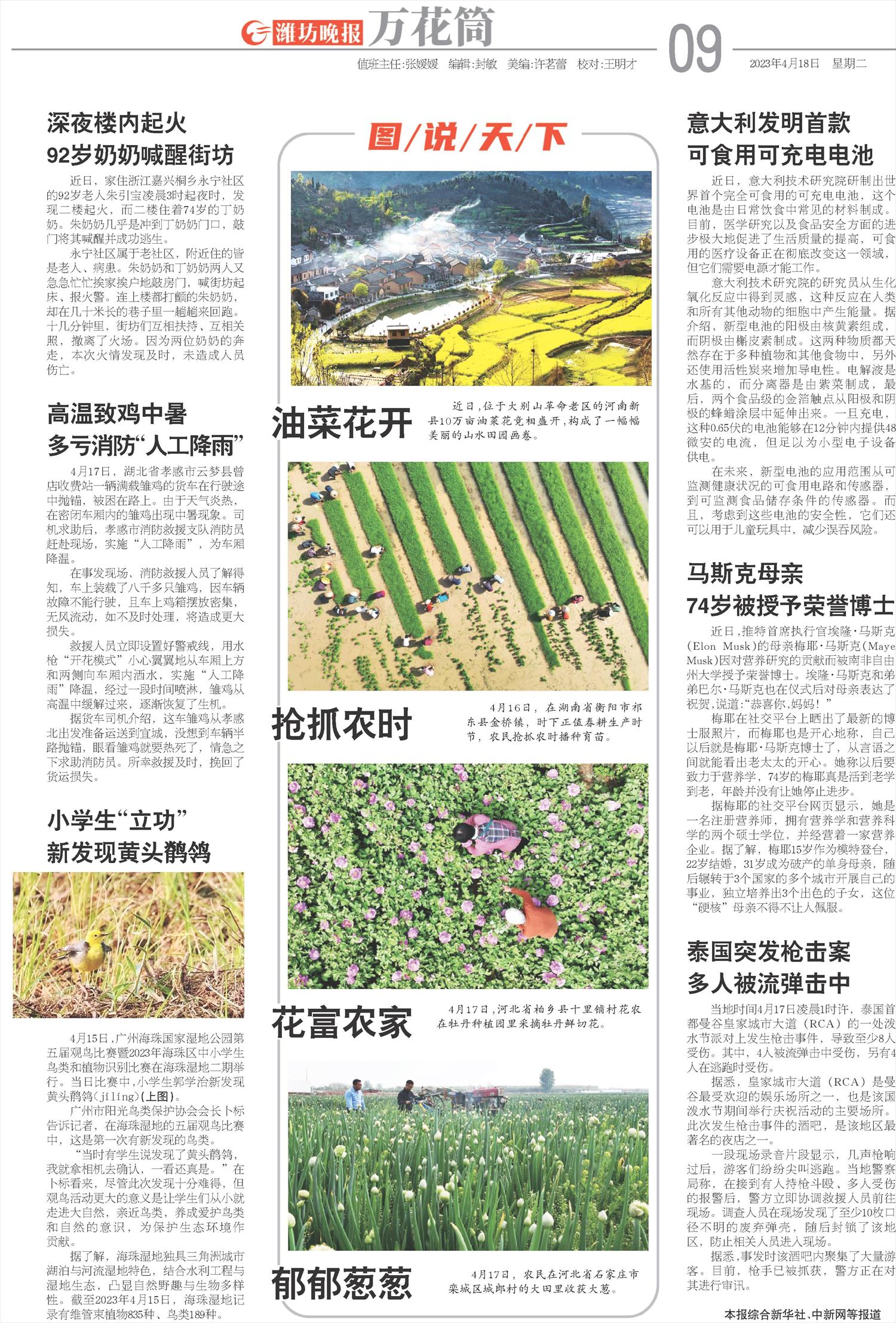 ****处理标记：[page]时， 字段 [] 在数据源中没有找到! ****