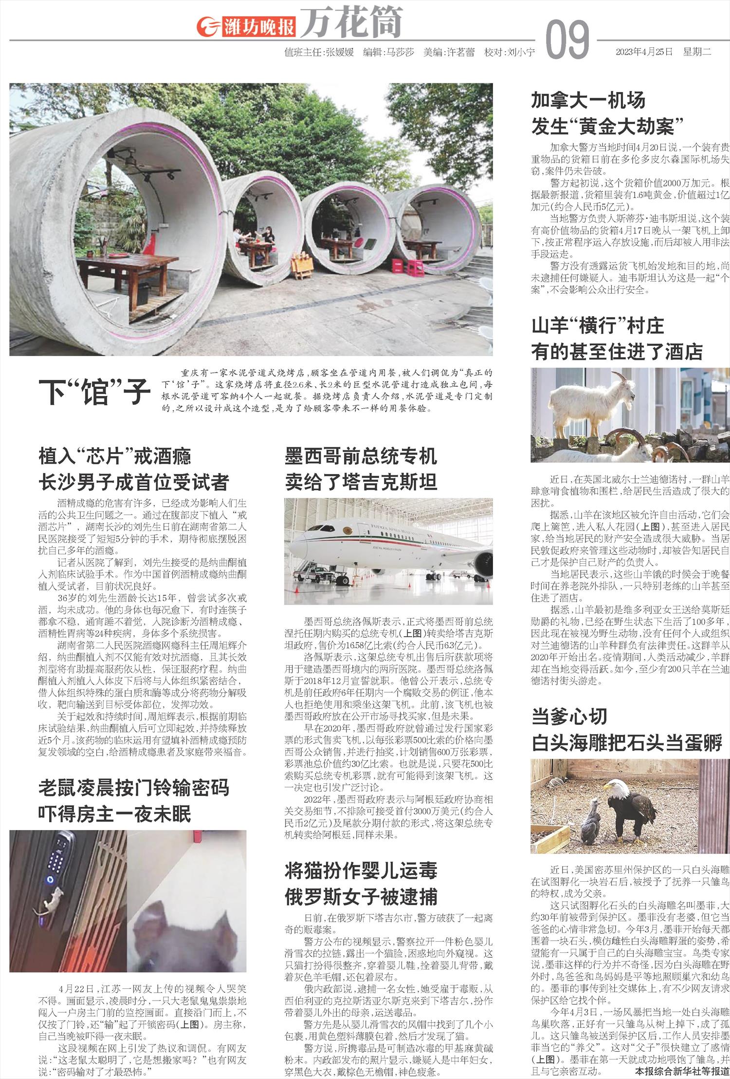 ****处理标记：[page]时， 字段 [] 在数据源中没有找到! ****