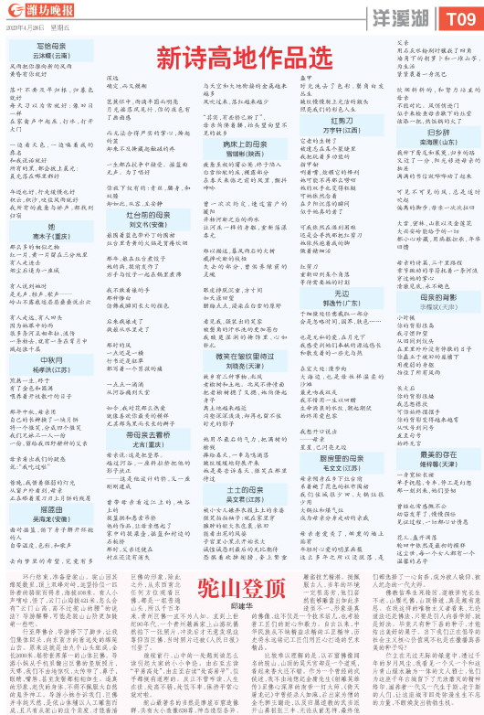****处理标记：[page]时， 字段 [] 在数据源中没有找到! ****