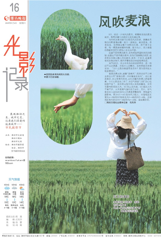 ****处理标记：[page]时， 字段 [] 在数据源中没有找到! ****