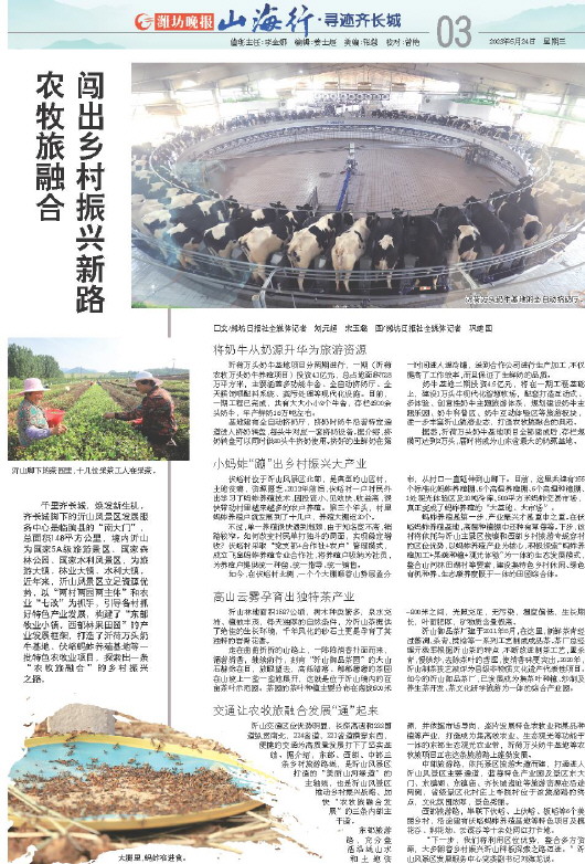 ****处理标记：[page]时， 字段 [] 在数据源中没有找到! ****