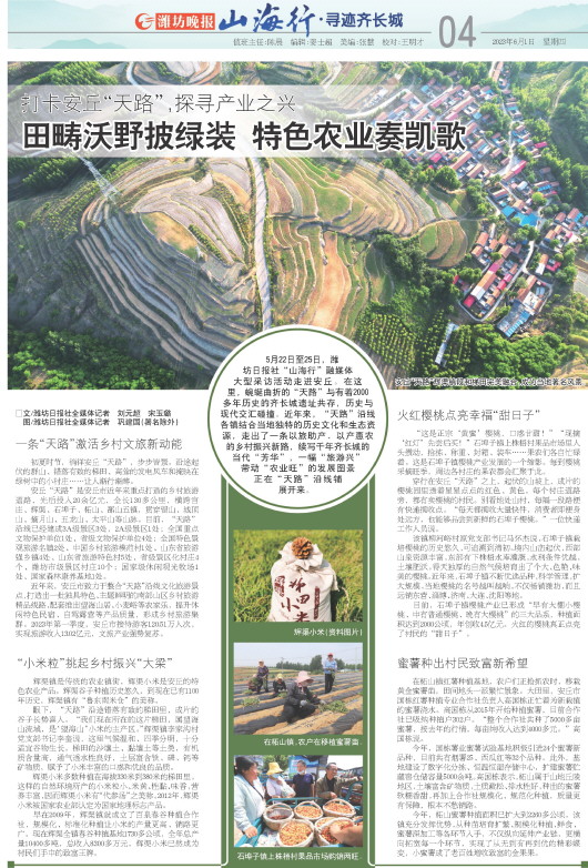 ****处理标记：[page]时， 字段 [] 在数据源中没有找到! ****