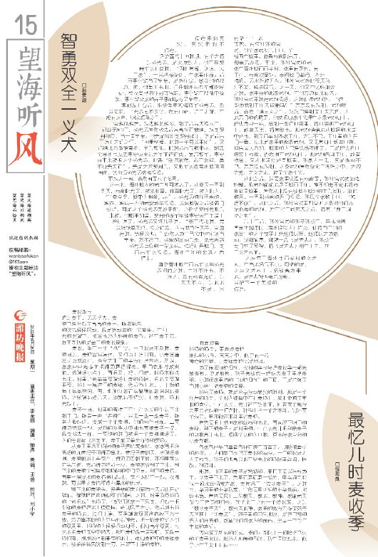 ****处理标记：[page]时， 字段 [] 在数据源中没有找到! ****