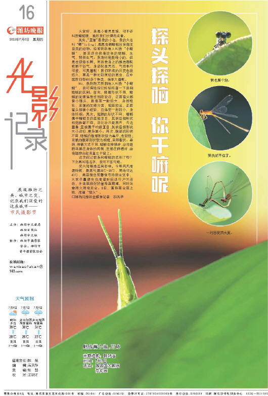 ****处理标记：[page]时， 字段 [] 在数据源中没有找到! ****