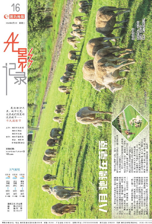 ****处理标记：[page]时， 字段 [] 在数据源中没有找到! ****