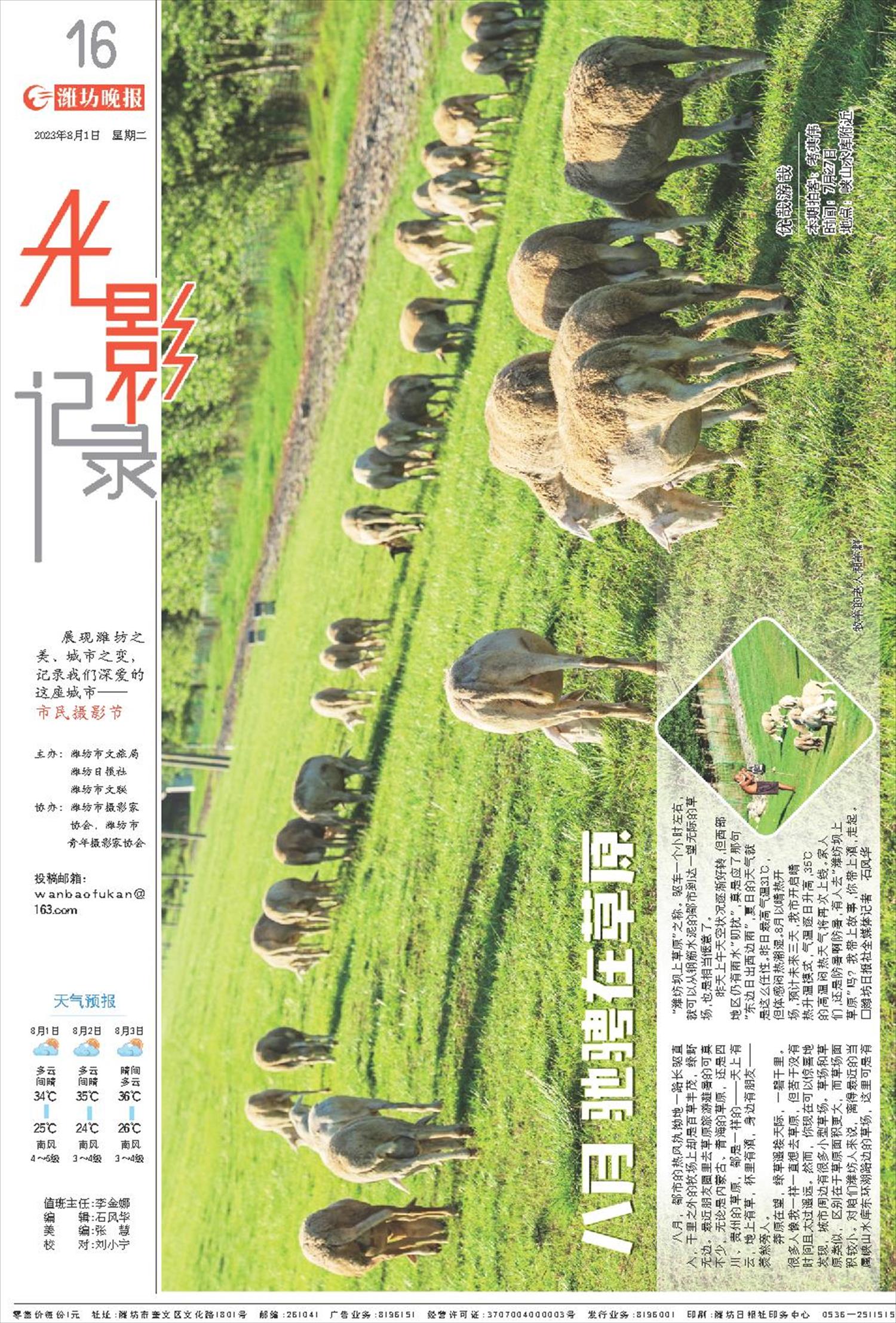 ****处理标记：[page]时， 字段 [] 在数据源中没有找到! ****
