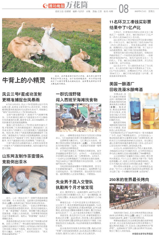 ****处理标记：[page]时， 字段 [] 在数据源中没有找到! ****