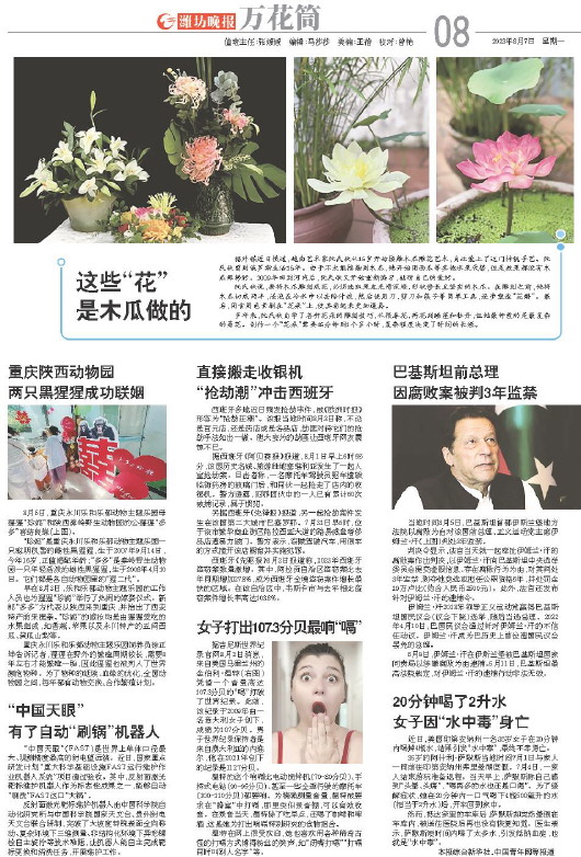 ****处理标记：[page]时， 字段 [] 在数据源中没有找到! ****