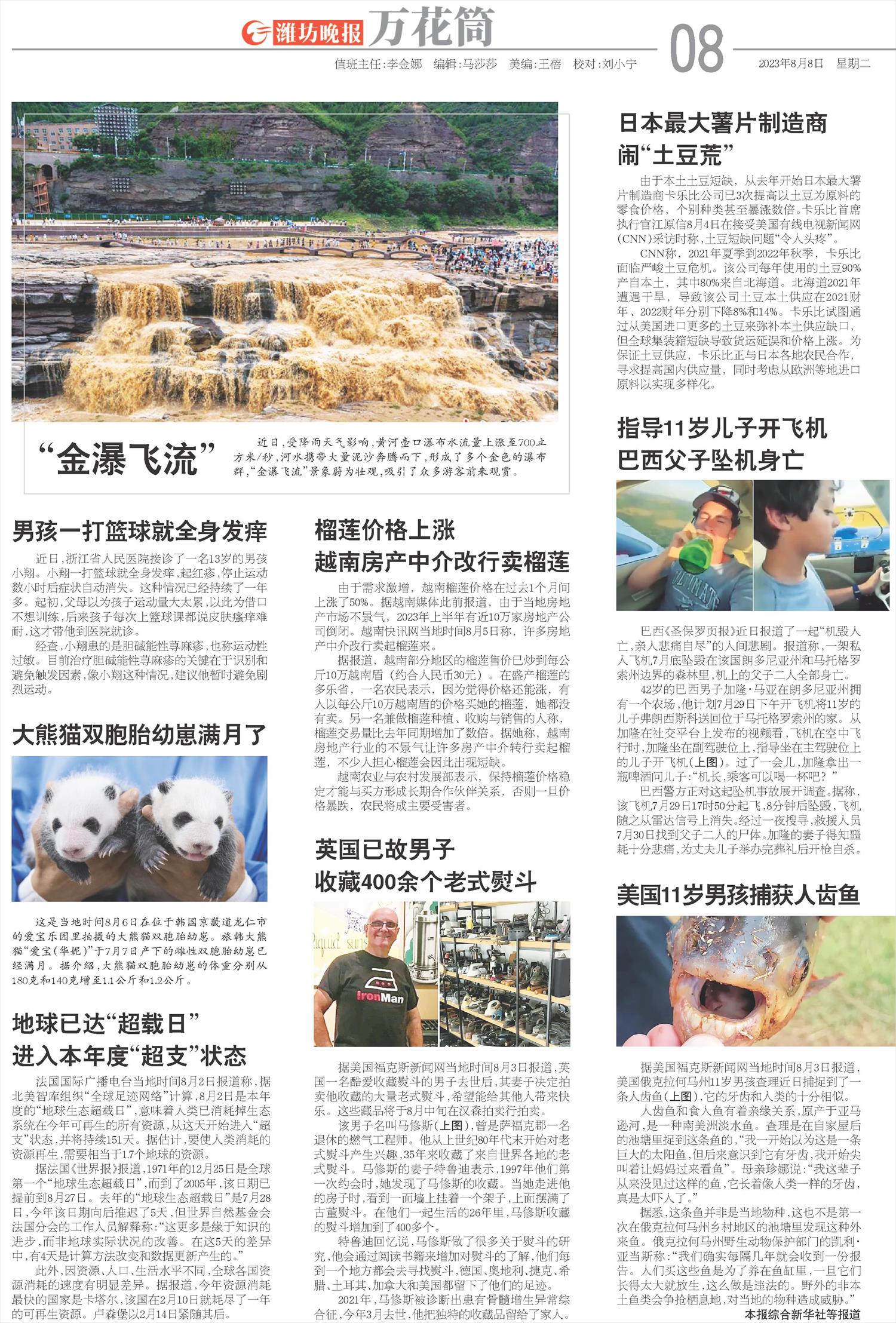 ****处理标记：[page]时， 字段 [] 在数据源中没有找到! ****