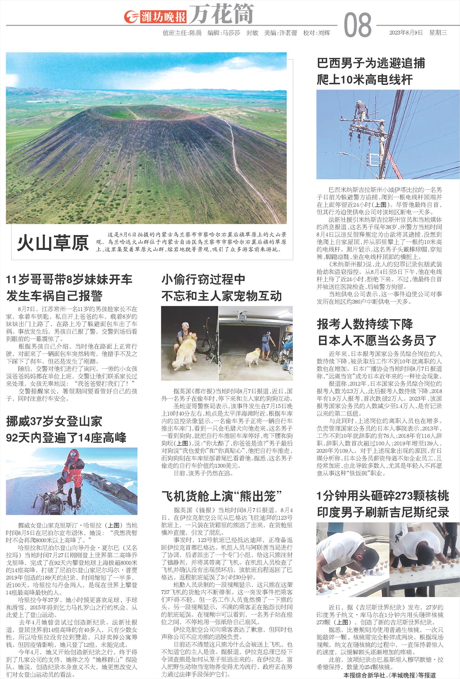 ****处理标记：[page]时， 字段 [] 在数据源中没有找到! ****