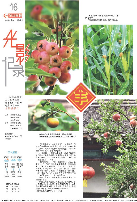 ****处理标记：[page]时， 字段 [] 在数据源中没有找到! ****