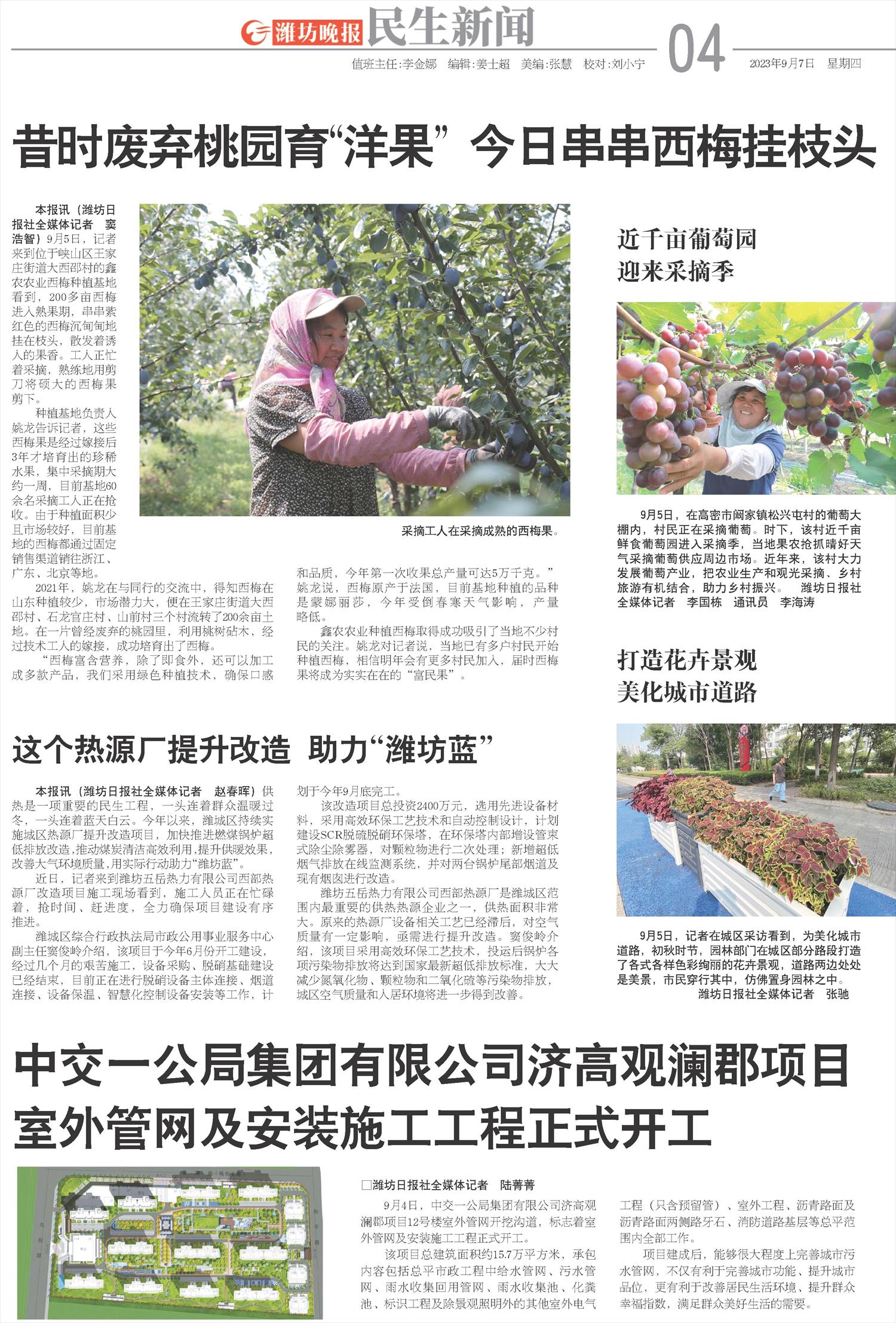 ****处理标记：[page]时， 字段 [] 在数据源中没有找到! ****