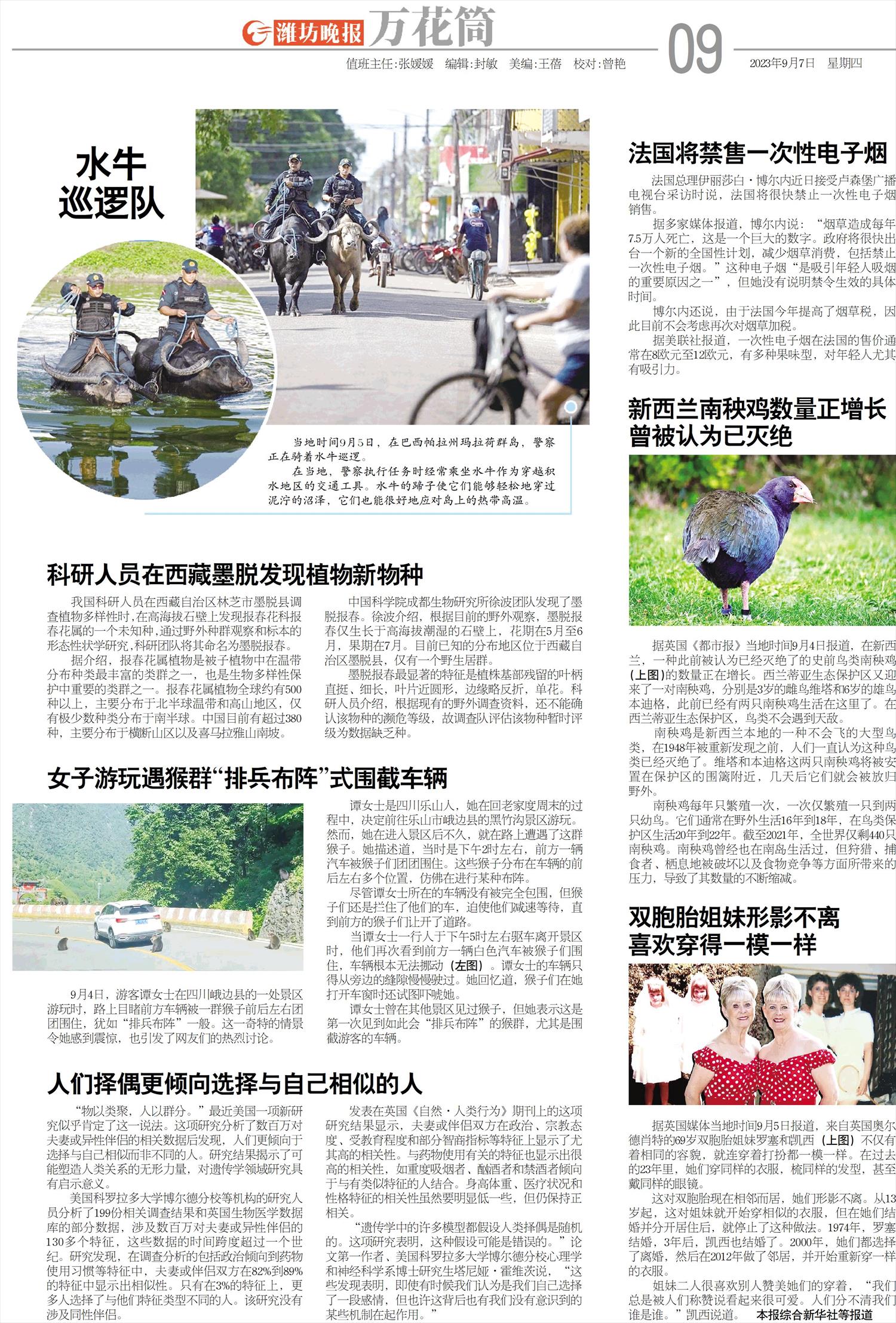 ****处理标记：[page]时， 字段 [] 在数据源中没有找到! ****