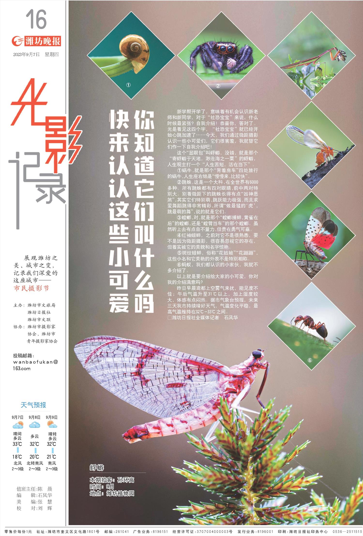 ****处理标记：[page]时， 字段 [] 在数据源中没有找到! ****
