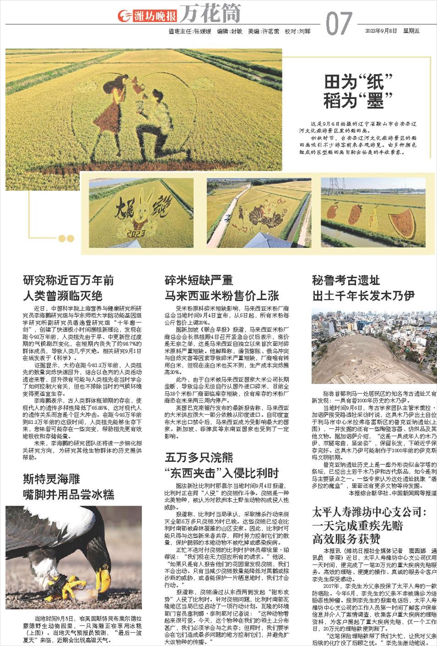 ****处理标记：[page]时， 字段 [] 在数据源中没有找到! ****