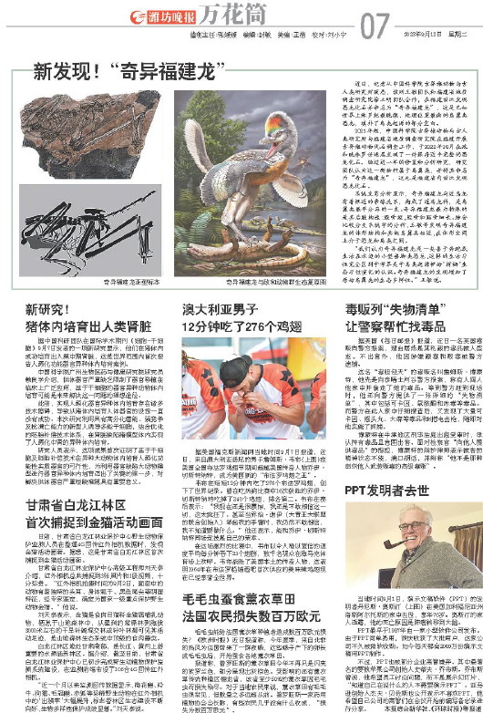 ****处理标记：[page]时， 字段 [] 在数据源中没有找到! ****