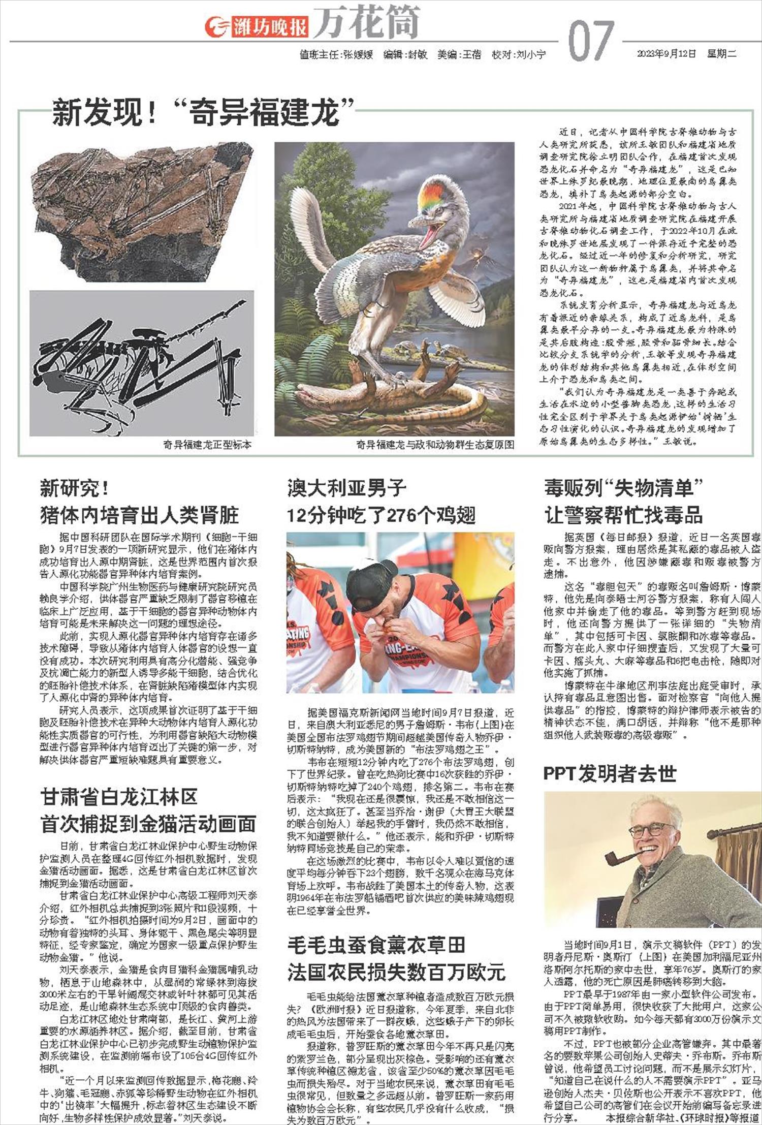 ****处理标记：[page]时， 字段 [] 在数据源中没有找到! ****
