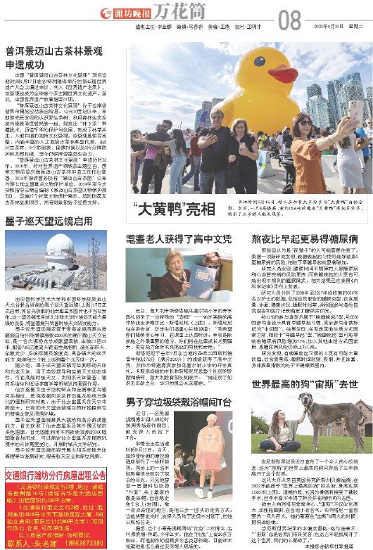 ****处理标记：[page]时， 字段 [] 在数据源中没有找到! ****