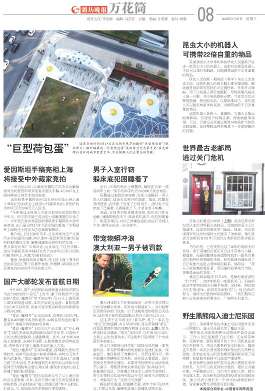 ****处理标记：[page]时， 字段 [] 在数据源中没有找到! ****