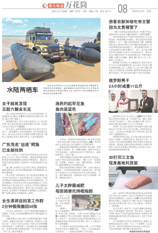 ****处理标记：[page]时， 字段 [] 在数据源中没有找到! ****