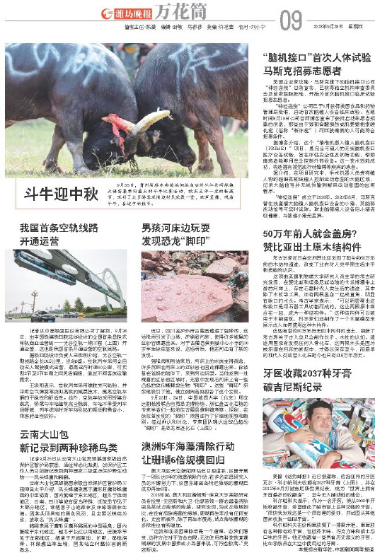 ****处理标记：[page]时， 字段 [] 在数据源中没有找到! ****