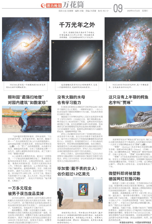 ****处理标记：[page]时， 字段 [] 在数据源中没有找到! ****