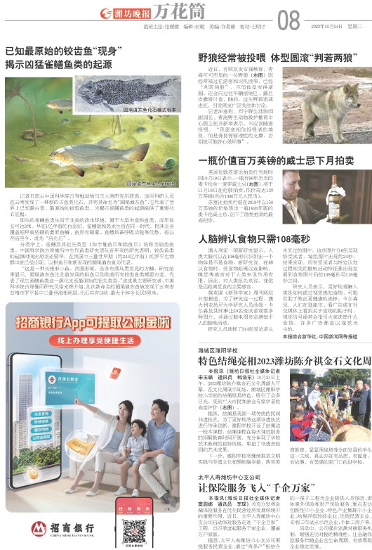 ****处理标记：[page]时， 字段 [] 在数据源中没有找到! ****