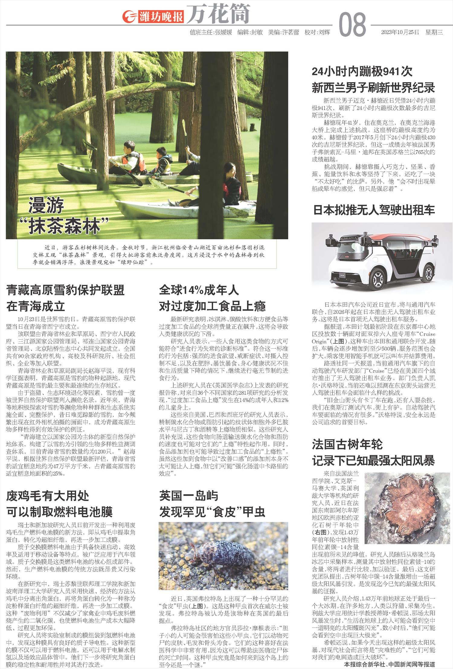 ****处理标记：[page]时， 字段 [] 在数据源中没有找到! ****