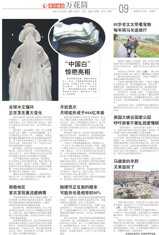 ****处理标记：[page]时， 字段 [] 在数据源中没有找到! ****